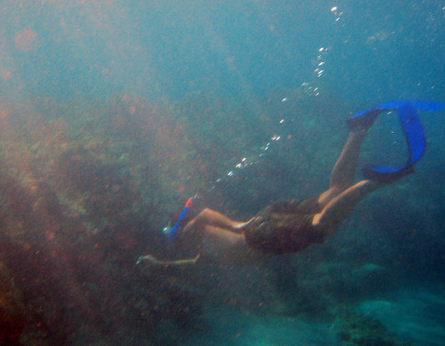 Thumbnail Photo